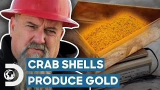 Crab Shells Help Hoffmans Find Big Gold Haul | Hoffman Family Gold