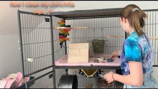 How I Clean my Chinchilla Cage