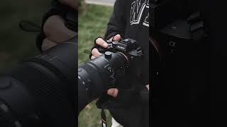 Sony A7M3 with 70-200mm photograpgy #dslr #canon #photography #nature