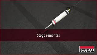 Stogo remontas