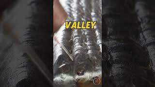 Avoid valleys when making multiple passes, tie each bead toe to crown #welding #mig
