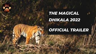 Dhikala Jim Corbett Tiger Reserve in Summers | Wildlife Vlog Discover Wild Paws 2022