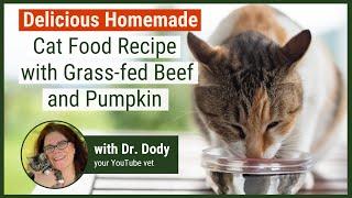 Homemade Cat Food Recipe in just 15 minutes!