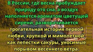 Весна в России: трогательная история первой любви, хрупкой и мимолетной, как лепестки сакуры.