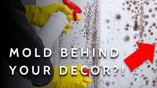 This Simple Fix Can Save Your Artwork and Mirrors from Mold Damage...