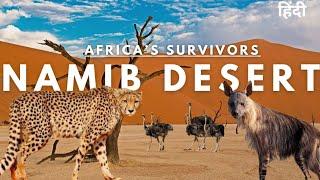 Africa’s Survivors: Namib Desert | Wildlife Documentary in Hindi | Animal Hindi documentary