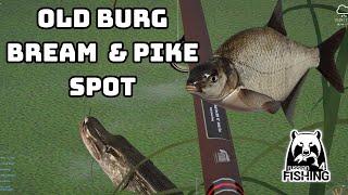 Bream + Pike Old Burg | Russian Fishing 4
