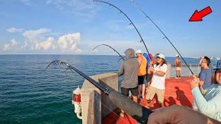 Fishing the Gulf Pier When Things Got Wild!