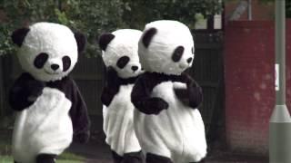 Pandas at pace!