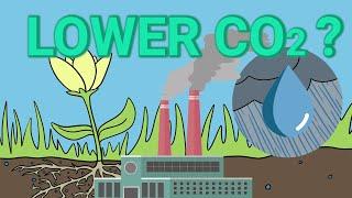 CO2 Drawdown - Where Should the Water Go?