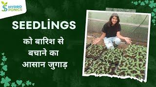 Shelter for seedlings for rainy season | Seedlings को बारिश से बचाने का आसान जुगाड़ | JS Hydroponics