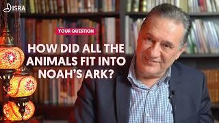 Insights About Noah's Ark You Did Not Know