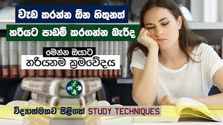 අරමුණක් තිබුනට වැඩ කරන්න හිතෙන්නැද්ද - මෙන්න සුපිරි Study Tips - Sinhala Study Techniques By Bio Api