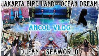 [VLOG] Ancol Vlog : DUFAN - SEAWORLD - JAKARTA BIRD LAND - OCEAN DREAM || Tifania72