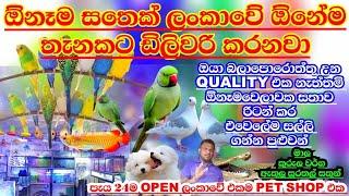 Aquarium tour!!! | pet shop srilanka #slanush | fish farm sri lanka