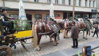 Fürth Michaelis Kirchweih 2024 / 36 Min. Festzug Hammer Genial Spaß Bier 