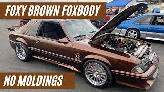 No Molding Foxbody aka Foxy Brown