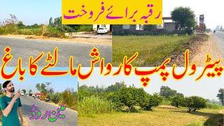 Agriculture and Commercial Land for Sale l Raqba for Sale in Punjab | Zari Zameen for Sale