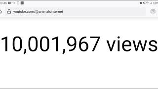 youtube.com/@animalsinternet reaches 10.000.000 views