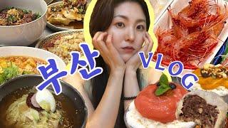 여행 VLOG | 부산 2박3일 밀면, 토마토빙수, 반핀, 돼지국밥, 카페 등등 맛집 추천 먹다 끝난 여행 | 남포동 콘트호텔 추천