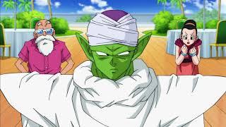 Piccolo says Vegeta's heart isn't pure, Master Roshi and Chichi disagree!