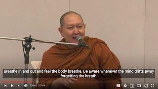 Dhamma Talk:  The Mindfulness for True Vipassana (English Subtitle)