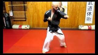 hapkido strikes