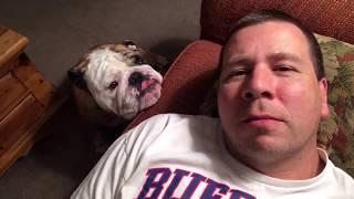 Sleepy Bulldog Wins Battle With Owner