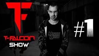 THE T-FALCON SHOW #1: MINDRU on being a MULTI-GENRE ARTIST, AI, SOCIAL MEDIA, and ARTISTIC FREEDOM