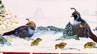 Kathy McNeil – Audubon’s Christmas Tutorial