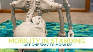 Mobility in Standing - Just ONE way to mobilize!