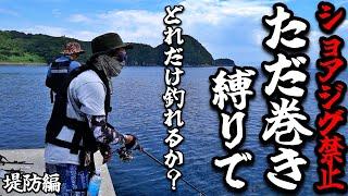 【ショアジギング禁止】ただ巻き縛りでどれだけ釣れるのチャレンジ！使用ルアーはミノーやバイブのみ…どこまでやれるの？【堤防編】