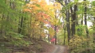 Classical Guitarist Mark Barrow performs Mauro Giuliani