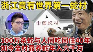 浙江竟有世界第一蛇村!300万条蛇与人同吃同住,靠养蛇年入千万【王芳王为念访谈】#杨洪昌