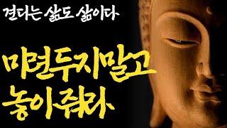 견디는 것도 삶이다|아무리 말하고 싶어도 이 악물고 참아야 하는 것|행복해서 사는것만이 삶은 아니다|인생이 홀가분해지는 삶의 태도|불교|부처님말씀|즉문즉설|석가모니|ASMR|법정