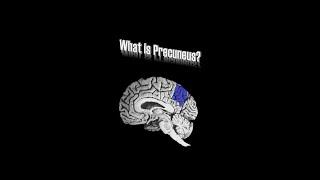 Precuneus