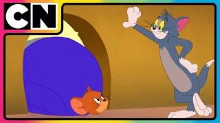 Tom and Jerry | Tom’s Noisy Revenge on Spike!  | #catandmouse | #compilation |  @cnindia