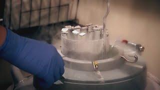 Tennessee set to become first Southern state to protect IVF access, contraception