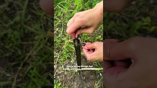Transforming Trash into Treasure: Outdoor Fun! 