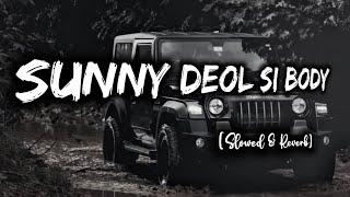 Sunny Deol Si Body |Slowed Reverb Song|Choudhar Jaat Ki|New Haryanavi Song|Punjabi song|Ishu Lofi