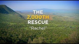 O.U.R.'s 2000th Rescue