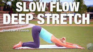 Slow Flow Deep Stretch Yoga - 30 Minutes - Five Parks Yoga