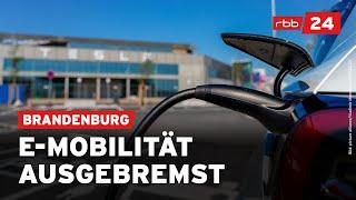 Brandenburgs Traum vom E-Mobilität-Vorreiter stagniert