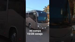 mi compa el conejo