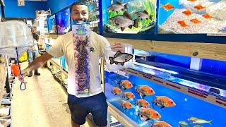 VISITING The BEST *PET STORE* In South FLORIDA! Craziest lnventory!