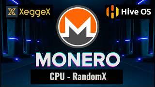 MONERO! (XMR) PROFIT IS BACK! - Easy CPU Mining HIVEOS Tutorial + Pool + Wallet!