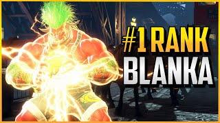 SF6 ▰ The #1 Ranked Blanka Will Blow Your Mind 【Street Fighter 6】