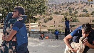 Nomadic life in Iran: making delicious lunch and decorating the farm