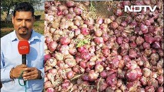 India's Onion Price Rise: Crop Damage To Blame