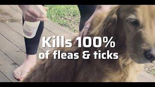 Kill & Repel 100% of Fleas & Ticks with Wondercide – For Dogs & Cats – With Natural Essential Oils